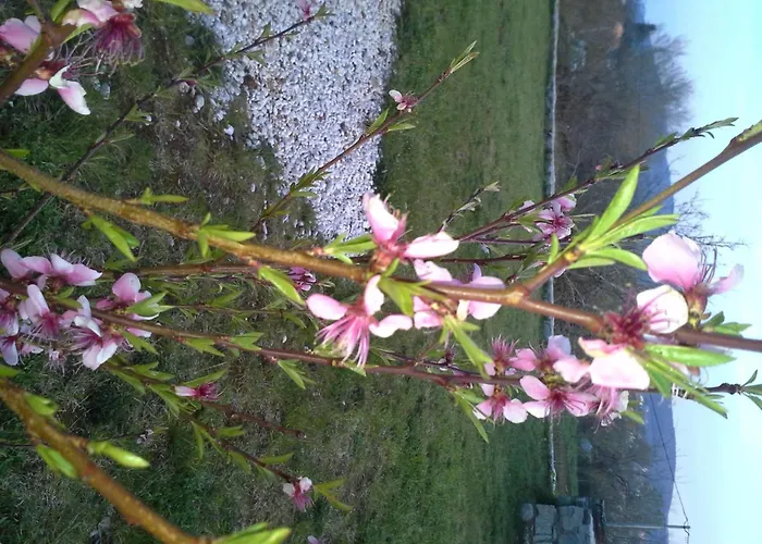 Bed & Breakfast Morena Labin (Istria)